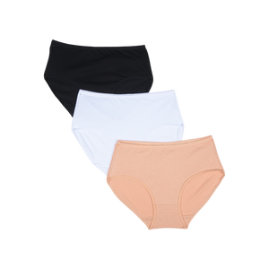 Belleza Lingerie Multi Color Brief Panty Pack Of 3-B253