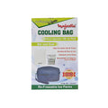 Magestic Insulin Cooling Bag No:326836 - Snapcart.pk