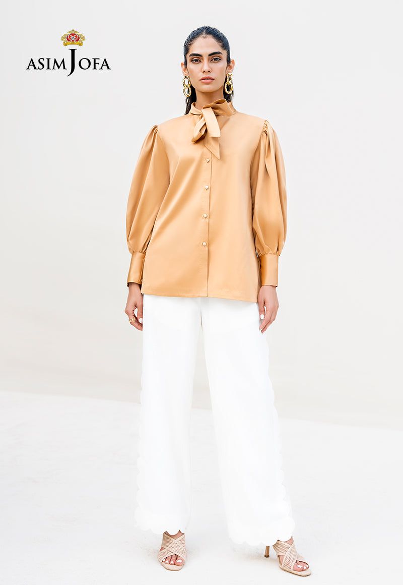 Asim Jofa Day To Day '23 Ajdt-04 Stitched (1-Pc)