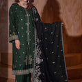 Aayra Stitched Winter Collection'2025-AY1140 - Forest Noir 3Pc