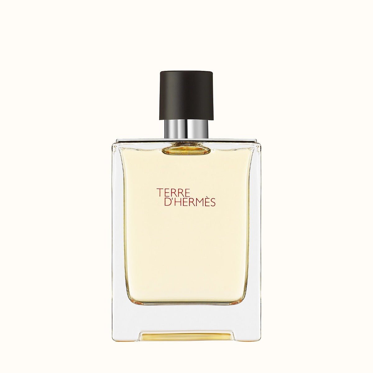 Hermes Terre D Hermes EDT For Men 100Ml
