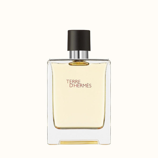 Hermes Terre D Hermes EDT For Men 100Ml