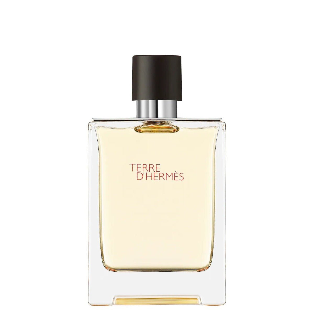Hermes Terre D Hermes For Men Edt 100Ml