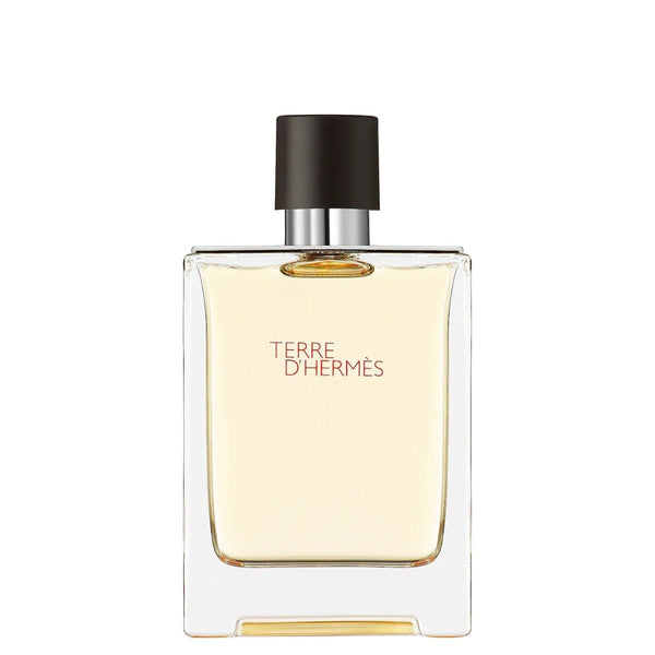 Hermes Terre D Hermes For Men Edt 100Ml