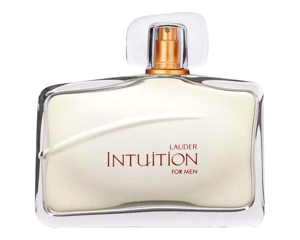 Estee Lauder Intuition for Men Edt Spray 100 ml