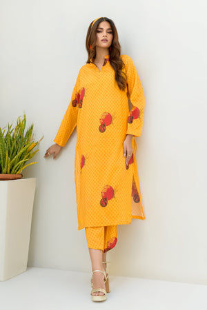Kesori By Suitsu Stitched Co Ords Collection-Nurvi- 2 Piece Set