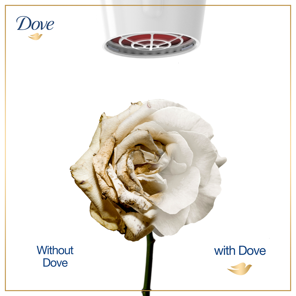 Dove Conditioner Intense Repair - 180Ml