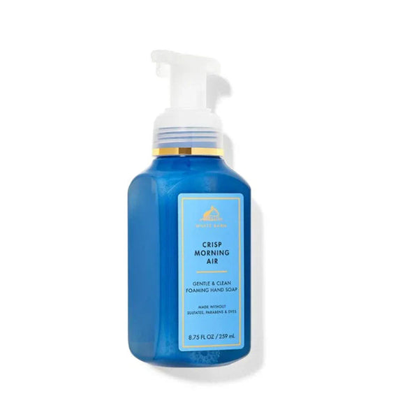 Bath & Body Works Crisp Morning Air Hand Soap 259ml