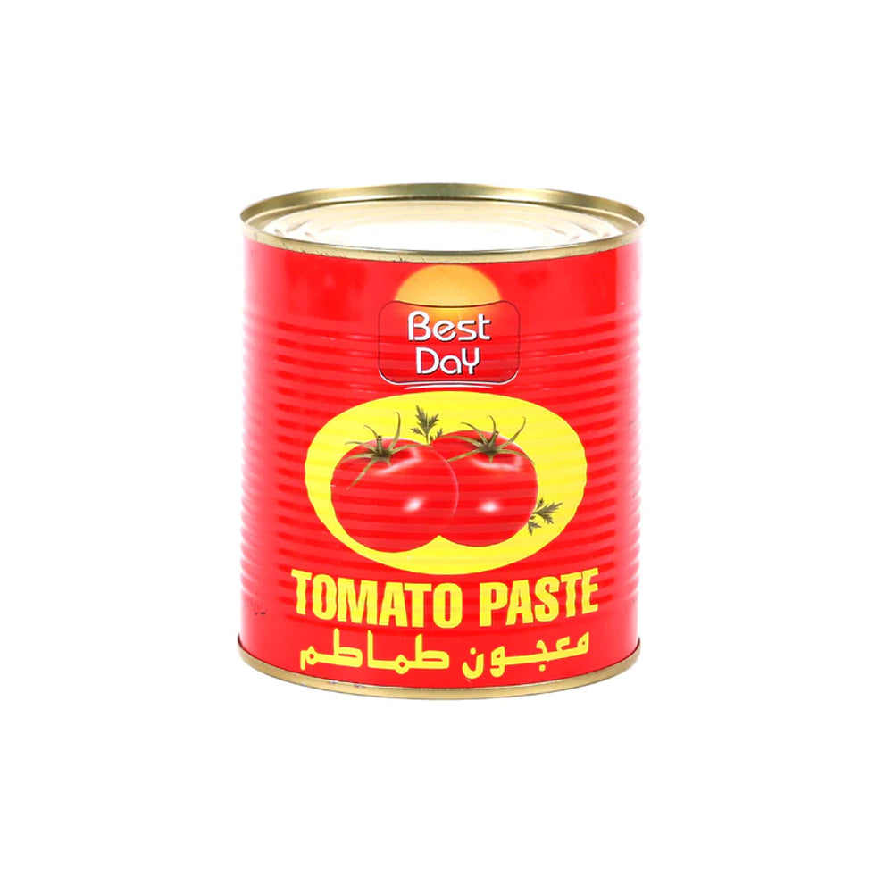 Best Day Tomato Paste Tin 400g - Snapcart.pk