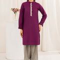 Aayra Stitched Summer Collection'2025-AY663- Plum Mist 2Pc
