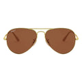 Ray-Ban Classic Aviator RB3689 9064/47 58-14