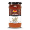 Shan Garlic Chutney 315g - Snapcart.pk