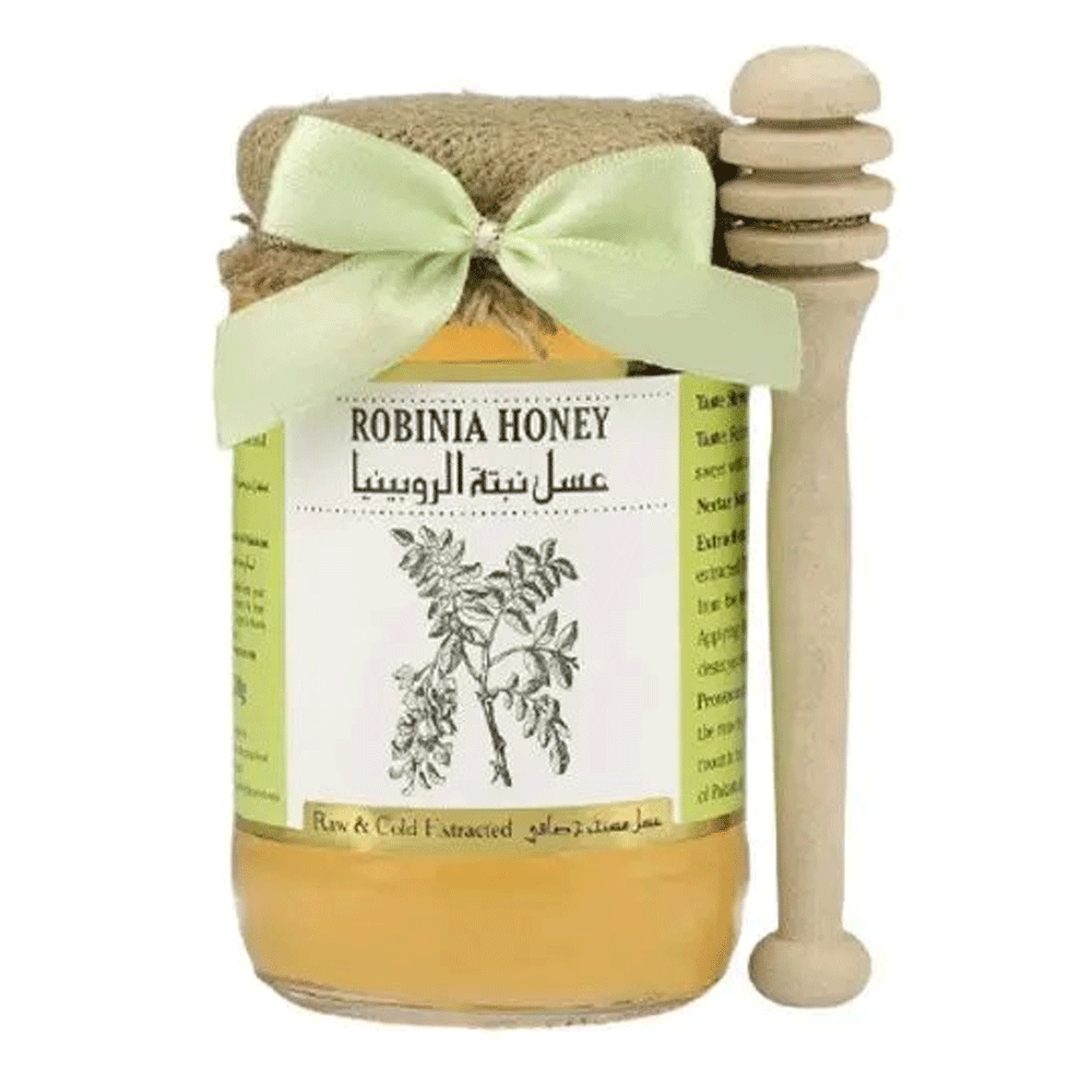 Simply The Great Food Robinia Honey 400g
