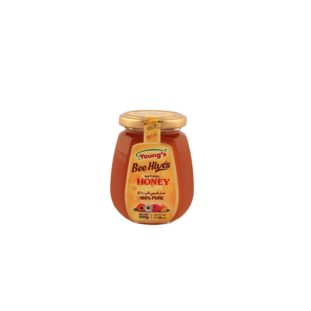 Youngs Honey 500g - Snapcart.pk