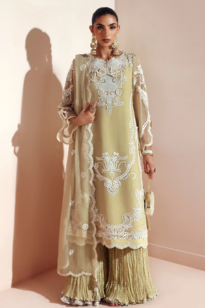 Aymal By Alizeh Unstitched 3 Piece Formals Vol-02 Collection'2025-BCH-2207-Aliha