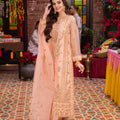 Asim Jofa Pyaar Diyan Gallan Pret Ajemb-20 Embroidered Organza Stitched 3 Pcs