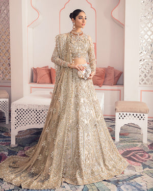 Shehrnaaz By Gulaal Unstitched 3 Piece Bridal Collection'2020-Saiba B-1