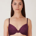 BLS Passion Wired And Pushup Lace Bra Berry