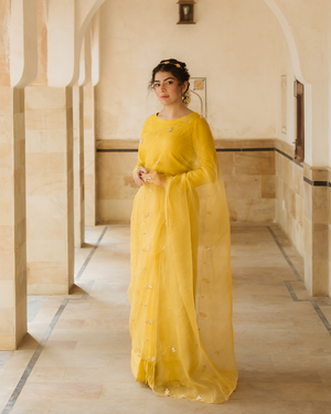 Purane Darwaze By Pashma Khan Stitched Formals Collection'2025-Bad-E-Naseem