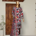 Sumi Stitched 3 Piece Embroidered & Printed Suit-CPE-01-Red