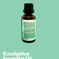 B&B Derma - Eucalyptus Essential Oil