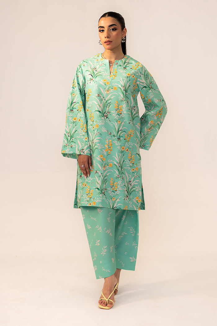 Fleur Co Ords By Sheenora Stitched 2 Piece Lawn Silk Collection'2025-Meadow