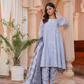 Threads & Weaves Stitched 3 PC - Embroidered Karandi Pret-03