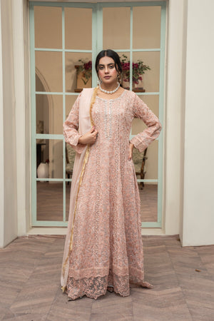 Rang Nirala By Manahils Stitched 3 Piece Formals Collection'2025-K-169-PEACH