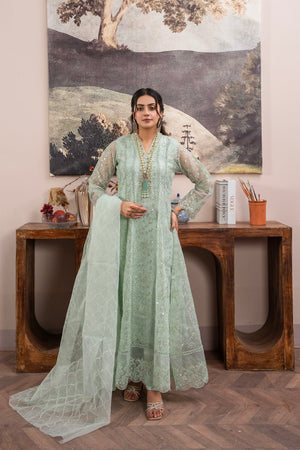 Rang Nirala By Manahils Stitched 3 Piece Formals Collection'2025-K-151-MINT GREEN
