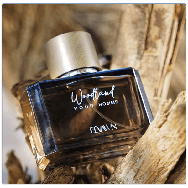 El'Vawn Men - Woodland 100 Ml - My Store