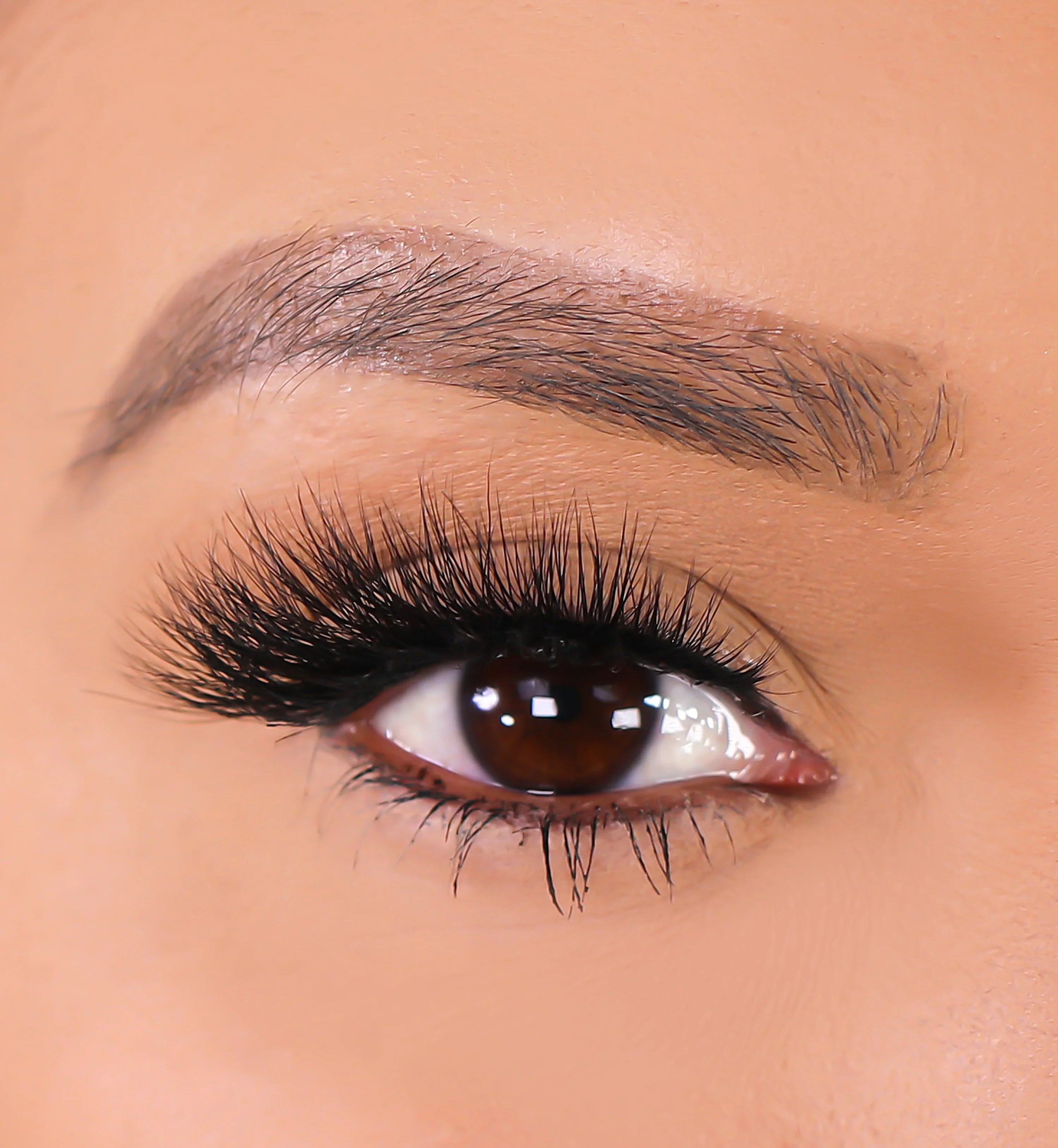 Lurella - 3D Mink Eyelashes - Lioness
