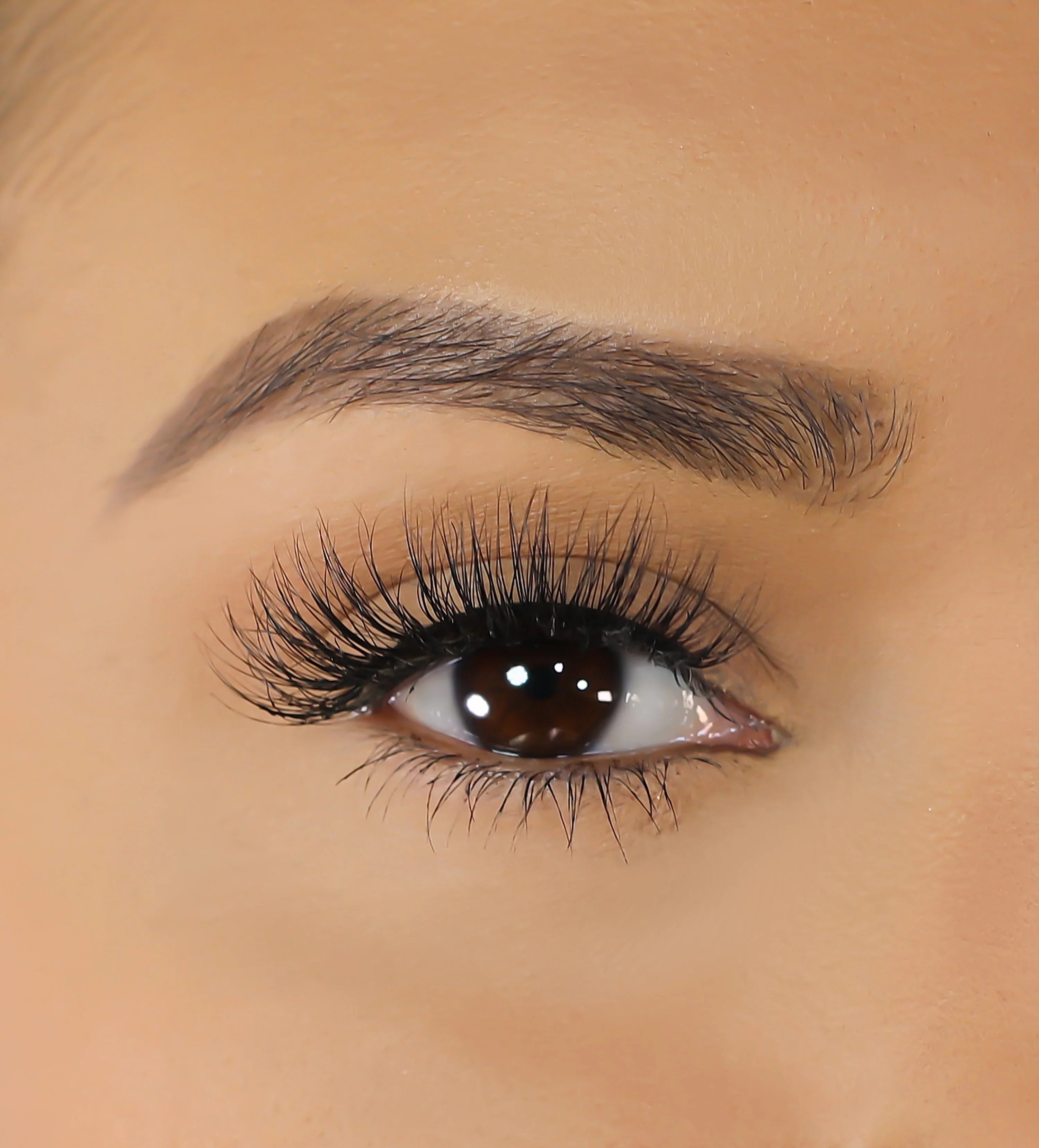 Lurella - 3D Mink Eyelashes - Aya