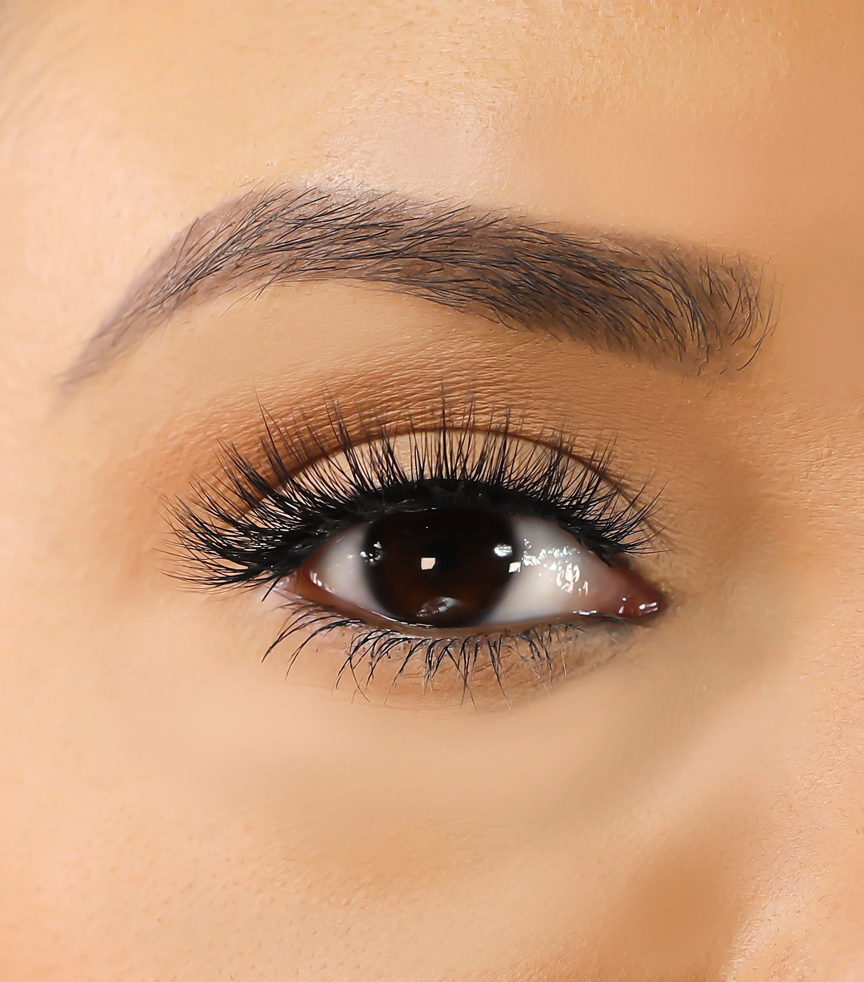 Lurella - 3D Mink Eyelashes - Caylie