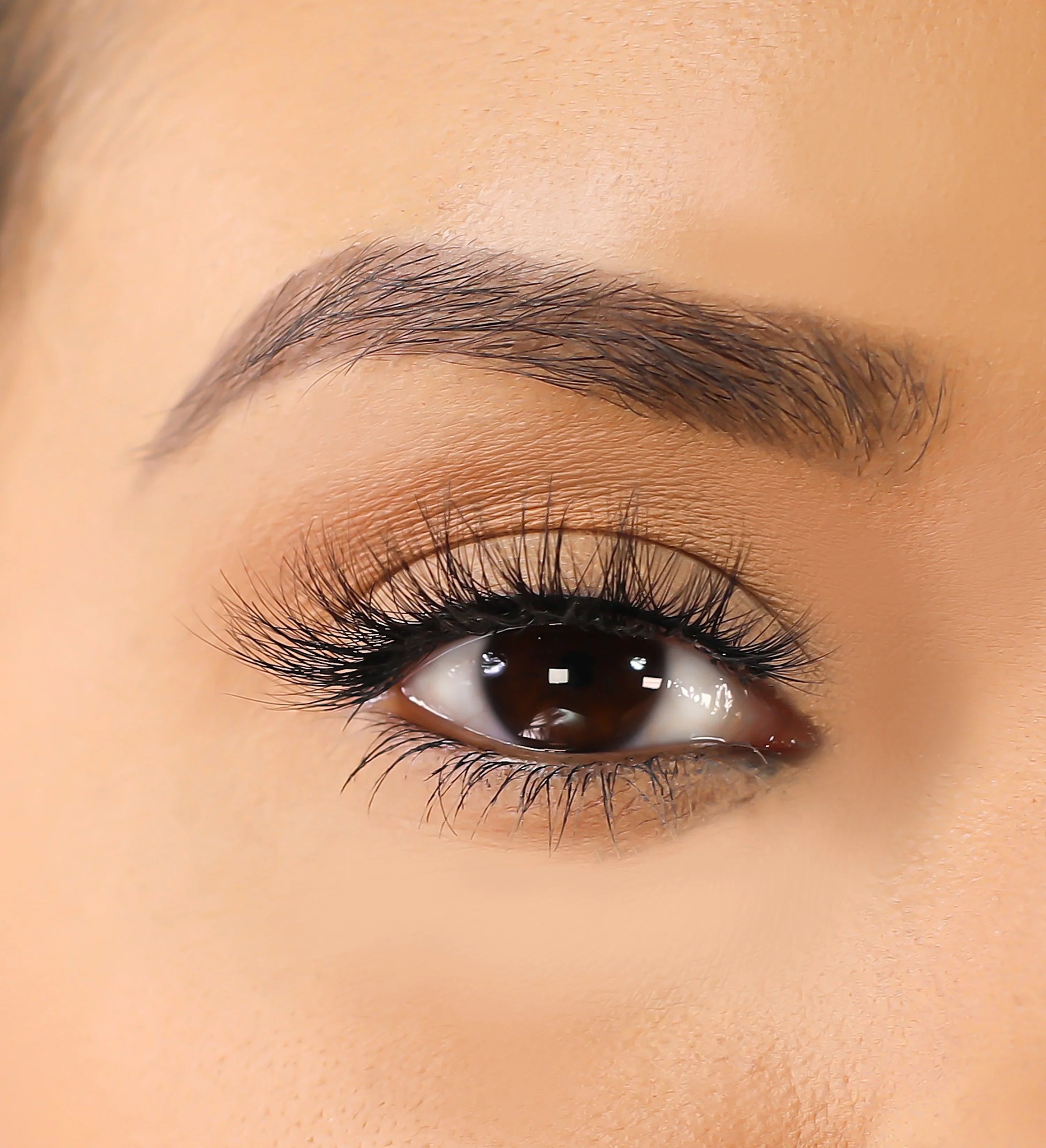 Lurella - 3D Mink Eyelashes - Ems