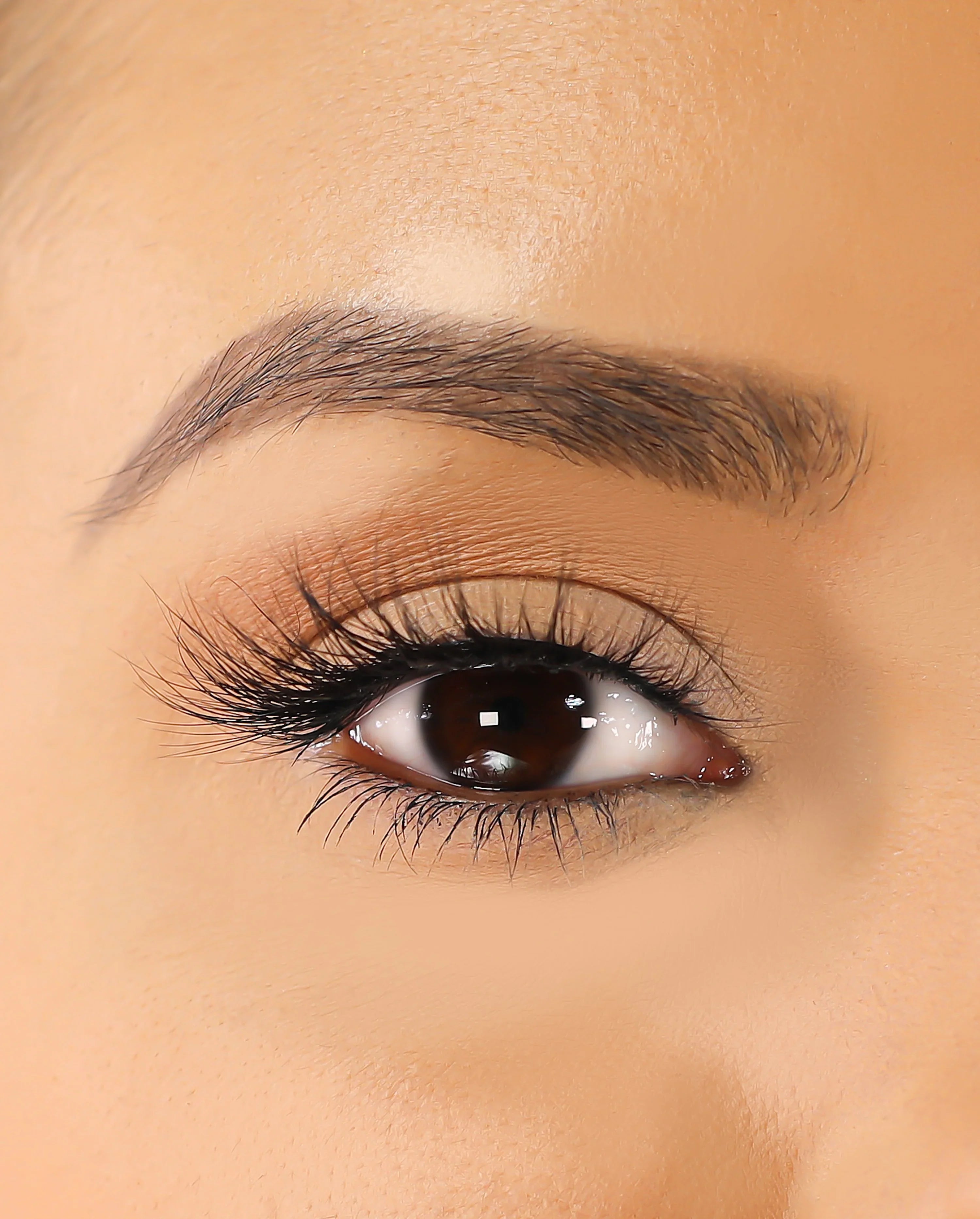 Lurella - 3D Mink Eyelashes - Issy