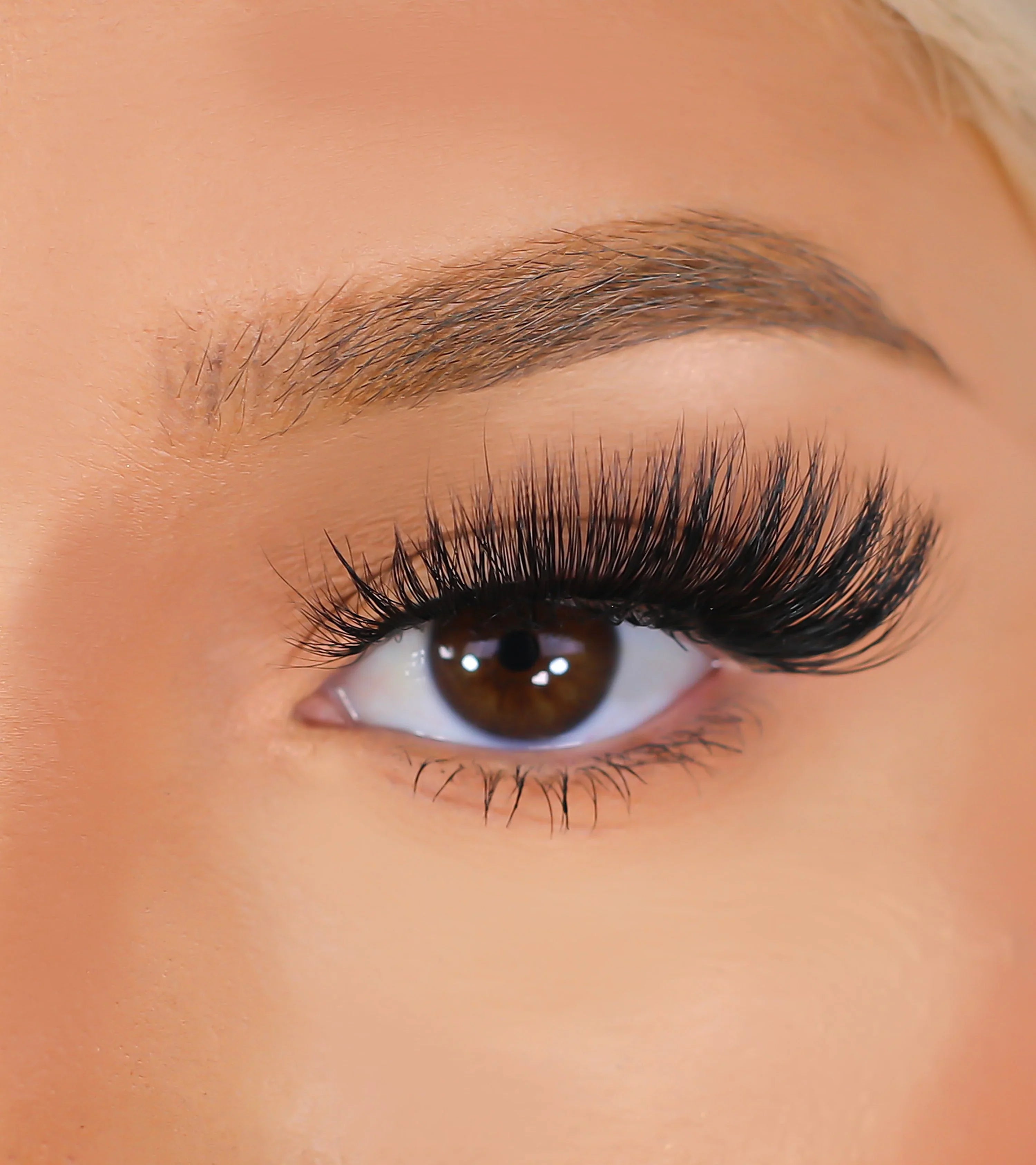 Lurella - 3D Mink Eyelashes - Confident