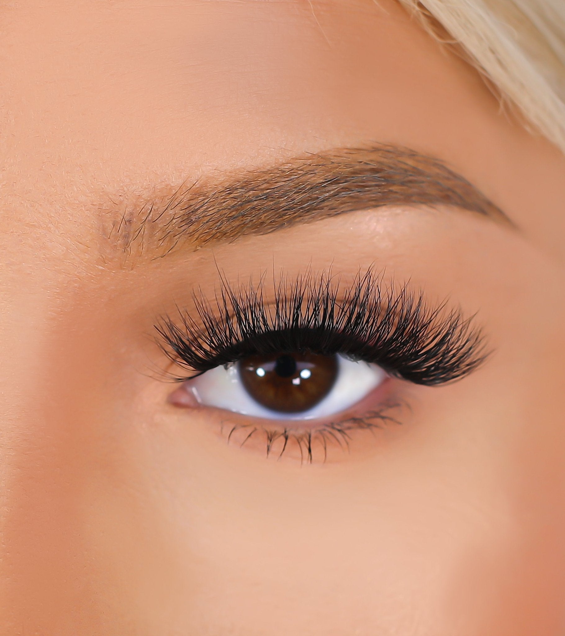 Lurella 3D Mink Eyelash Aya