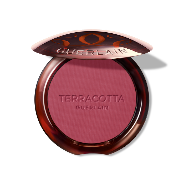 Guerlain Terracotta Blush Healthy Glow Powder