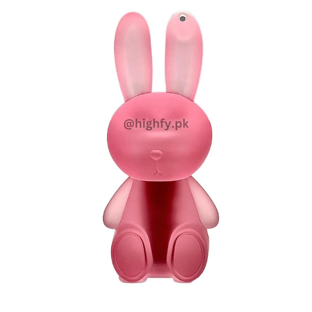 Gege Bear - Cute Rabbit Velvet Lip Mud 04 - My Store