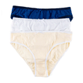 Belleza Lingerie High Leg Panty Ps-11 (Pack Of 3)