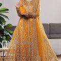 Dressline Semi Stitched 3 Pc Luxury Emb Net Collection