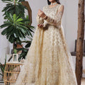 Dressline Semi Stitched 3 Pc Luxury Emb Net Collection