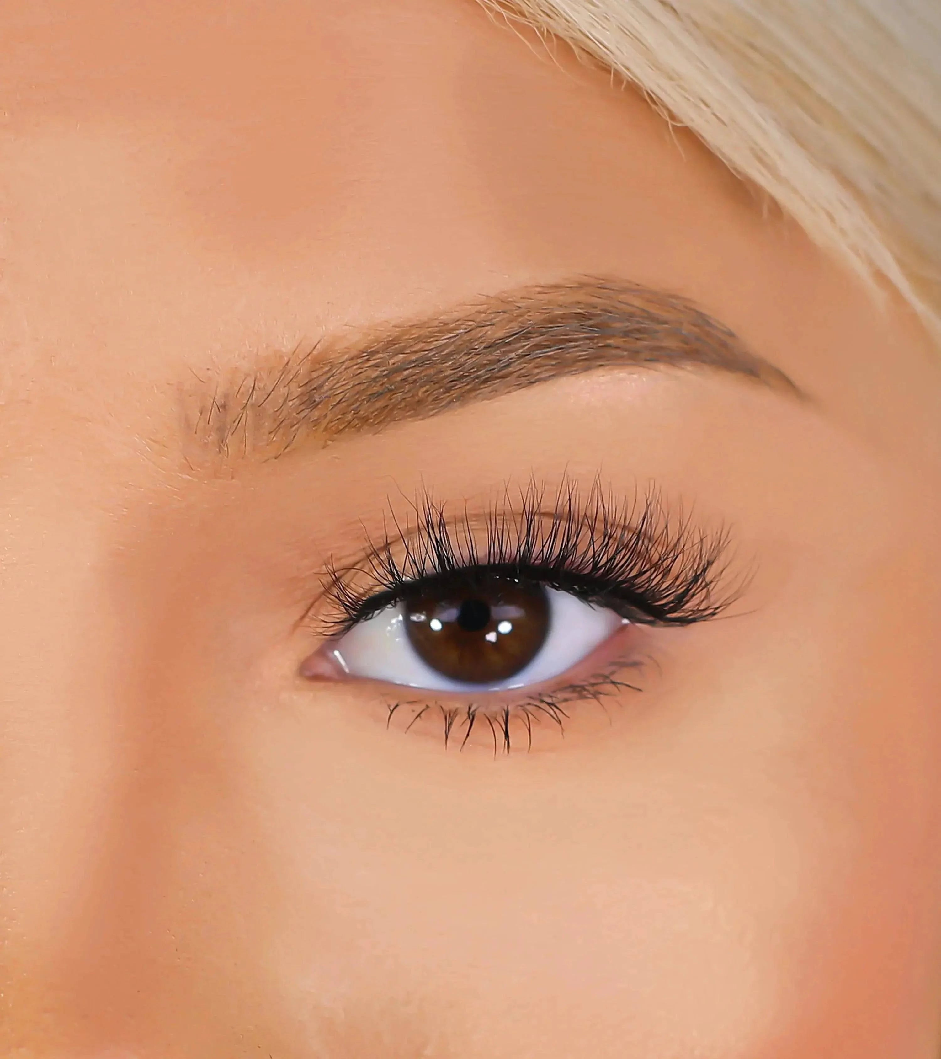 Lurella - 3D Mink Eyelashes Subscribe - My Store