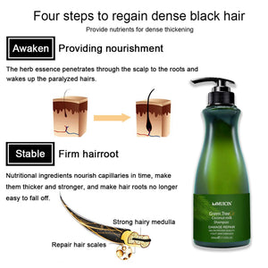 MUICIN - Green Tea & Coconut Milk Hair Shampoo - 300ml - My Store
