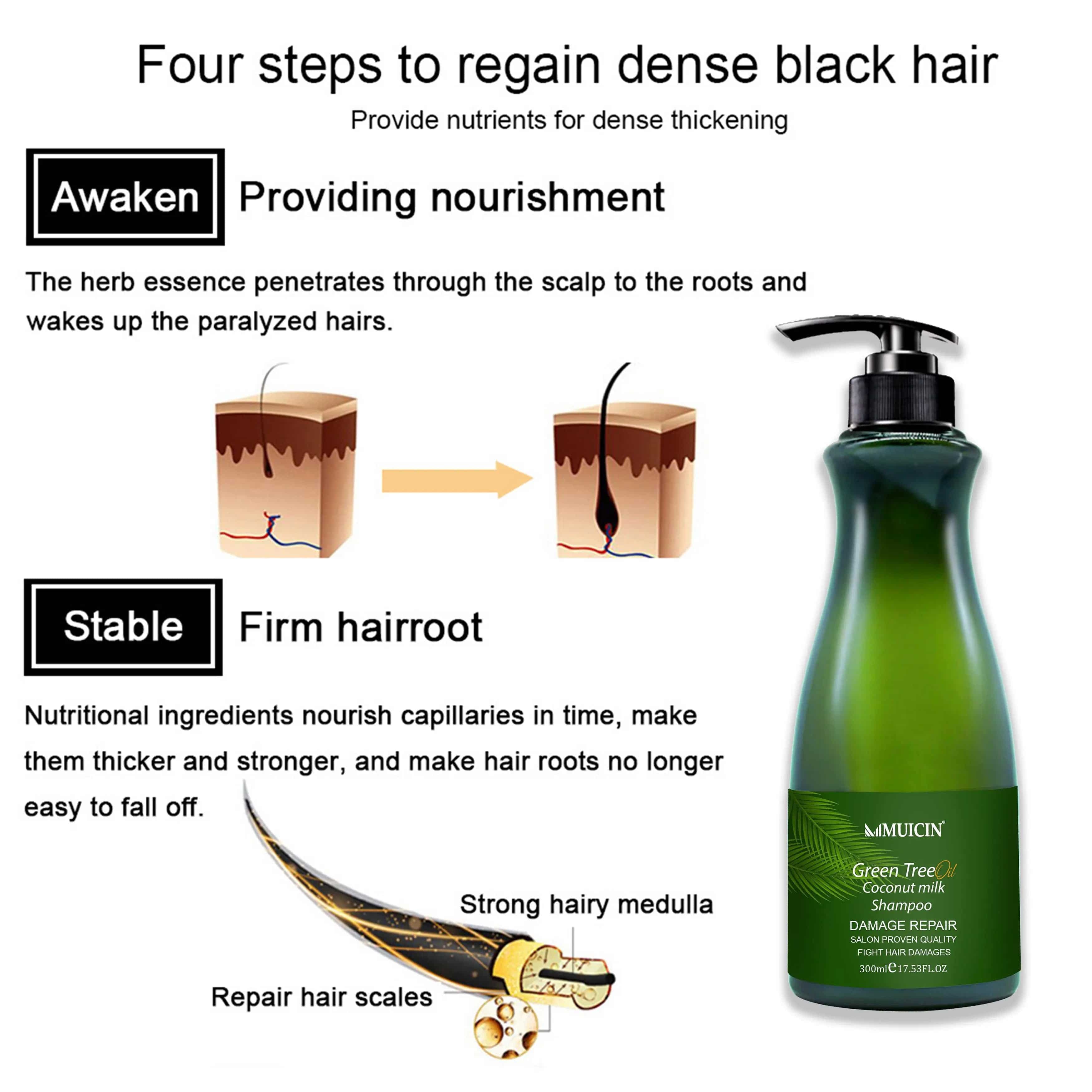 MUICIN - Green Tea & Coconut Milk Hair Shampoo - 300ml - My Store