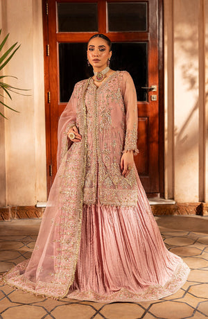 Aylin Unstitched 3 Piece Wedding Edit Collection'2025-Mauve Mist Dress