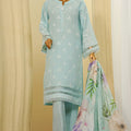 Traditional Vibes By HZ Stitched 3 Piece Solid Emb Chikankari Collection'2025-PWC-103-Sky Blue