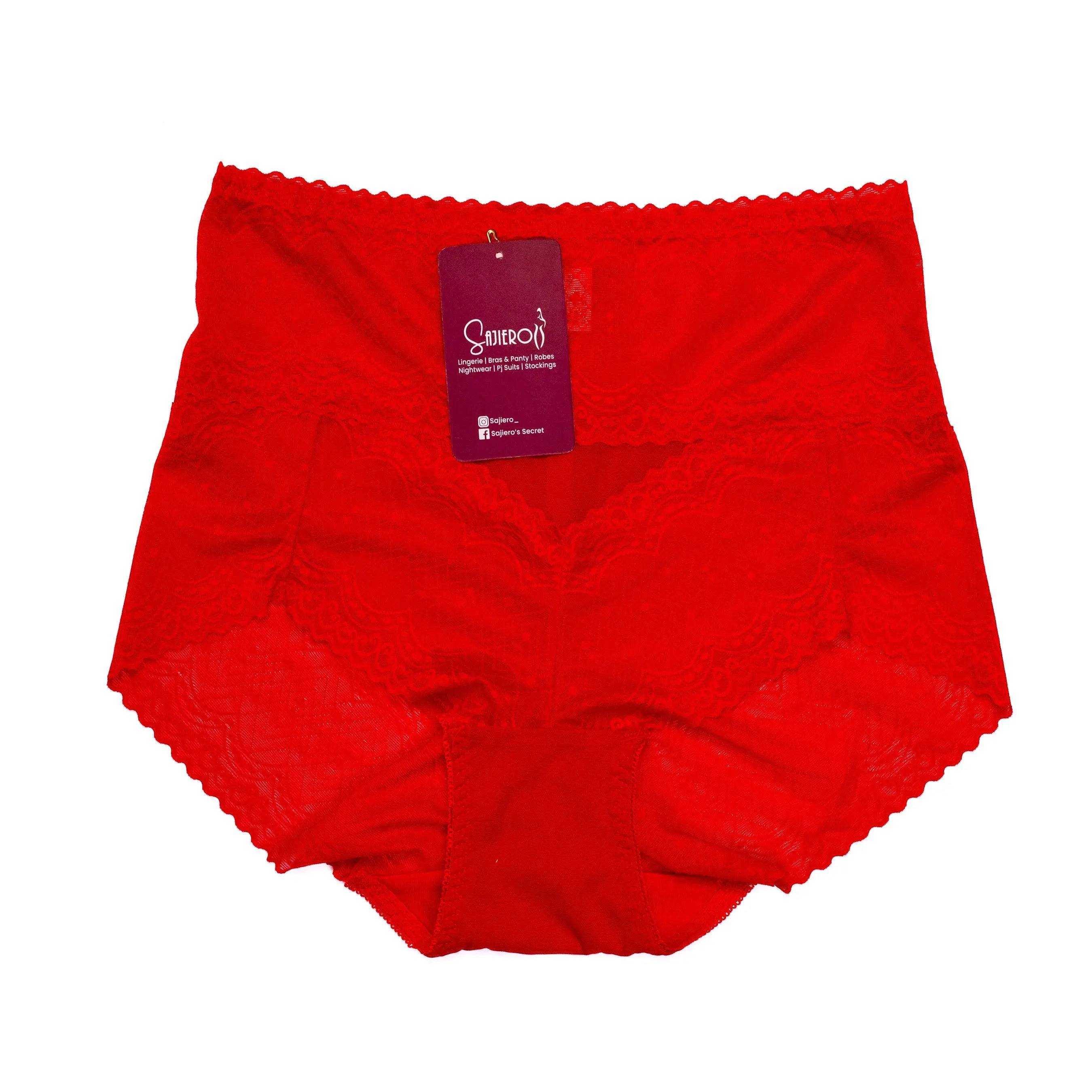 Sajiero Brief Style Plus Size Net Panty - My Store