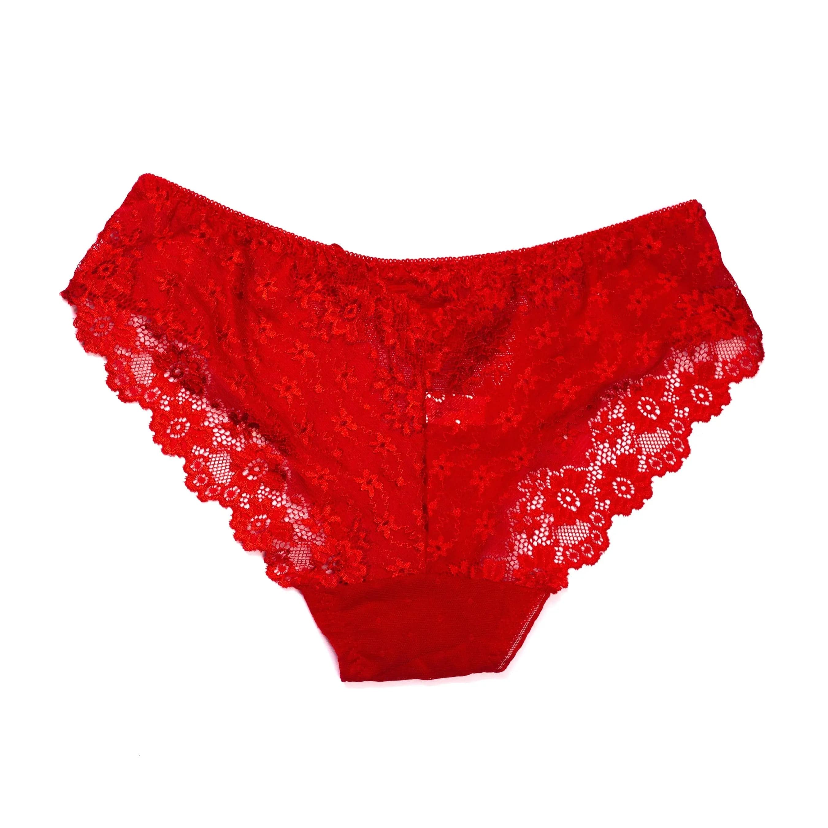 Sajiero Flowers Embroidery Net Panty - My Store