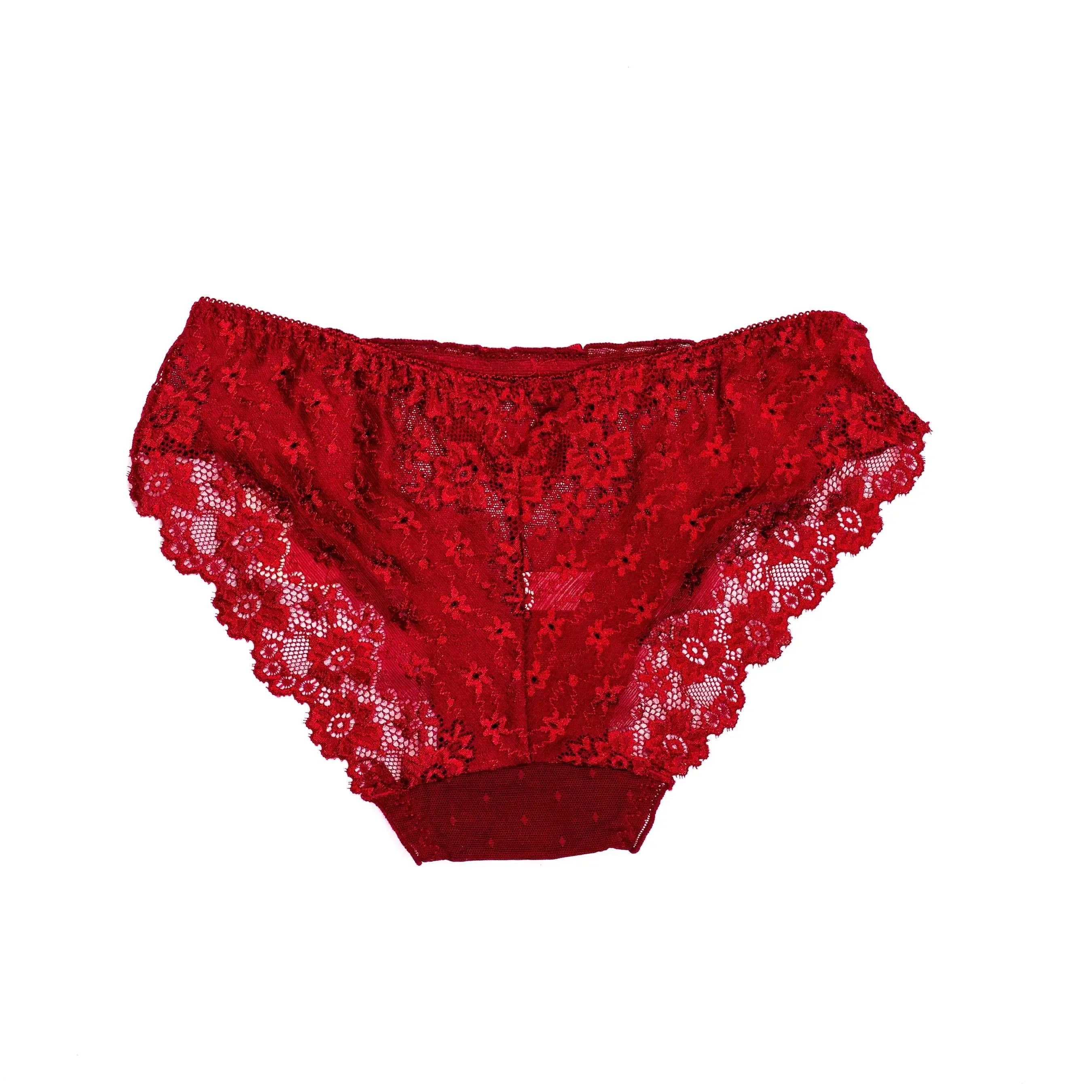 Sajiero Flowers Embroidery Net Panty - My Store